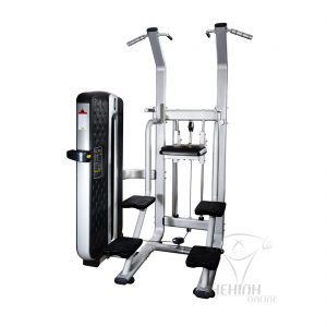 THOL Selectorized Assisted Chin/Dip