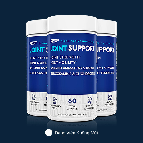 JOINT SUPPORT