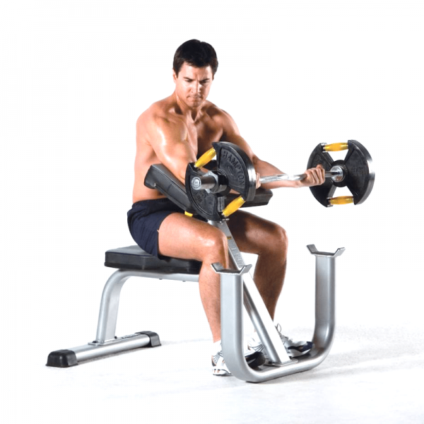 SEATED ARM CURL BENCH