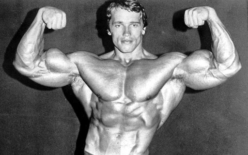 Arnold-Schwarzenegger