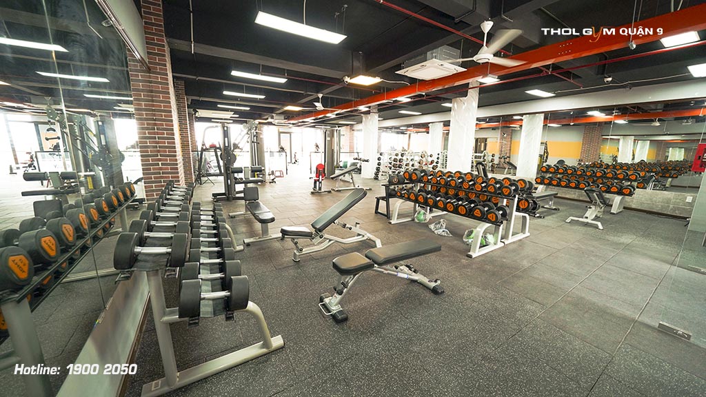 BBT cung cấp đa dạng thiết bị phòng gym